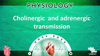 Revision of L910 Cholinergic and Adrenergic transmission Physiology [upl. by Strawn]