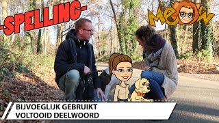 7 Spelling bijvoeglijk gebruikt voltooid deelwoord [upl. by Ailesor846]