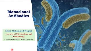 Monoclonal Antibodies [upl. by Annod]