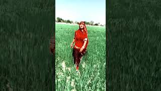 dhab ja birkhasong marwadi newsong bago rajasthaniswag [upl. by Evyn]