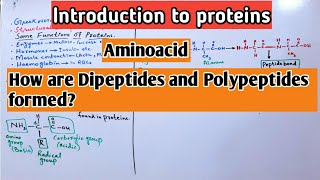 Introduction to ProteinsAmino acidDipeptides and Polypeptides Jiyas Biology Tutorials [upl. by Reyna]