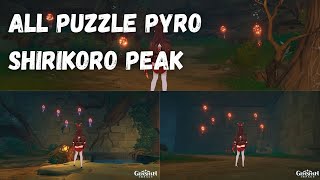 All Pyro Torch Puzzle Shirikoro Peak Underground Tsurumi Island  Genshin Impact [upl. by Amatruda]