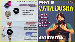 Ep 12 Vata Dosha Made Simple Easy Ayurveda Animations [upl. by Yevoc]