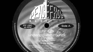 Chicago Underground Council  Groove Thang [upl. by Vijar3]