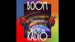 Sensient at Boom Festival  Alchemy Circle [upl. by Yllrebmik575]