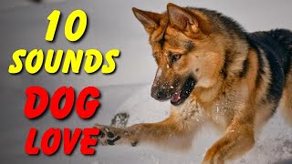 10 SOUNDS Dogs LOVE To Hear The Most [upl. by Effy]