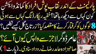 Why did Govt Want to Arrest 8 MNAs Sahibzada Hamid Raza Exclusive Interview with Essa Naqvi [upl. by Arenahs935]