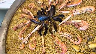 61 Seafood paella at eLcoso Valencia Spain Part I [upl. by Anitsirk]