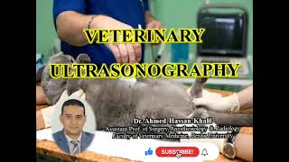 Guide to Veterinary Ultrasonography [upl. by Geller527]