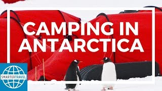 Camping in Antarctica  SmarterTravel [upl. by Domash559]