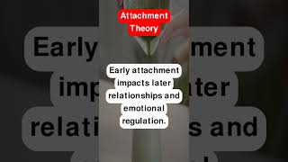 Attachment Theory [upl. by Tomasz]