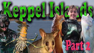 Camping from the boat in paradise at the Keppel Islands Queensland Australia part 2 trout crayfish [upl. by Ecirp]