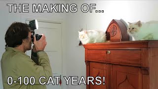 Alvi cat  the making of 0  100 Cat Years [upl. by Ahsya186]