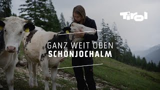 Schönjochalm Tradition trifft auf moderne Landwirtschaft [upl. by Fanestil]