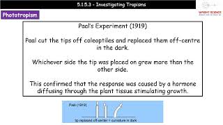 A Level Biology  5153  Investigating Tropisms [upl. by Oicirbaf]