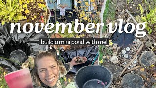 November 2024  Build A Mini Pond With Me [upl. by Giverin]