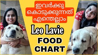 Leo Lavie Food Chart  Labrador Food  Adult Dog Food Schedule  Pet Vlogs Malayalam [upl. by Hurlee610]