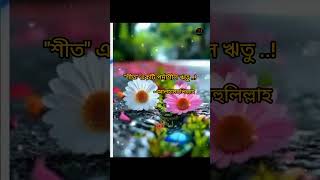 শীত একটি পর্দাশীল ঋতু 🥶 [upl. by Lotti]