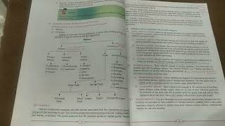 11th Std ocmcommerceTopic 1part4 [upl. by Wilhelm]