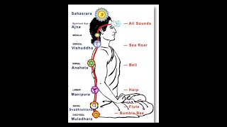 Kundalini awakening accompanied by common sound symptoms associated with it [upl. by Elleina852]