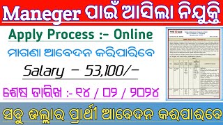 NALCO Deputy Manager Recruitment 2024  Salary  53100  Odisha Govt Jobs [upl. by Nnylidnarb]