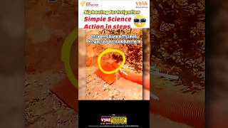 bro exploiting science for irrigation simple physics siphon action steps viralvideo shorts [upl. by Chapen155]