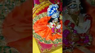 Amar sab kichu tumi lala Hore krishna radhe radhe [upl. by Roselia653]