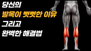 발목 스트레칭이 효과가 없다면 이 운동들을 해보세요 Feat발목가동성 개선 운동 5가지 [upl. by Irallih]