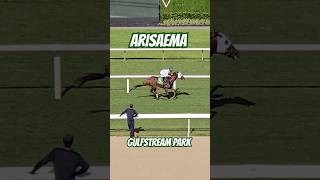 Arisaema takes the finale a Hat Trick today for Miguel Vásquez GulfstreamPark [upl. by Alleuqram841]