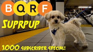 SUPRPUP  1000 Subscriber Special [upl. by Ecnarrot]