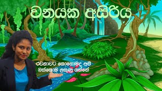 rachana grade 5  rachana grade 4  රචනා ලිවීම  scholarship  grade 5  win with tharu [upl. by Hsima]