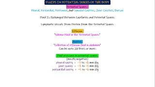 Pitting amp Nonpitting Edema Ascites Effusion Chapter 25 part 8 Guyton and Hall Physiology [upl. by Erin97]