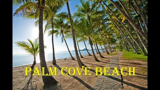 Palm Cove Beach  Cairns [upl. by Erdnaek]