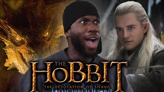 the dragon TALKS  the HOBBIT THE DESOLATION OF SMAUG REACTION [upl. by Cathyleen866]