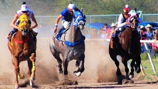 Carreras de Caballos en Cumpas 14 de Marzo 2020 [upl. by Henrik]