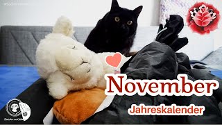 Jahreskalender November  Sockenwolle  Maschenschäfchen [upl. by Tuck]