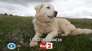 I PASTORI BIANCHI [upl. by Bac]