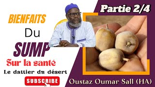 Vertus du SUMP dattier du désert par Oustaz Oumar Sall HA  Partie 24 [upl. by Ybor]