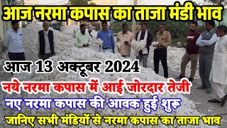 नरमा कपास के भाव 13 अक्टूबर 2024 नये नरमा कपास में आई जोरदार तेजी Narma kapas ka bhav cotton rate [upl. by Olfe79]