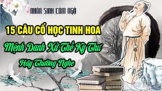 15 Câu Cổ Học Tinh Hoa Được Người Xưa Đúc Kết  Lúc Khốn Cảm Mê Mang Hãy Thường Nghe [upl. by Ennaeerb]