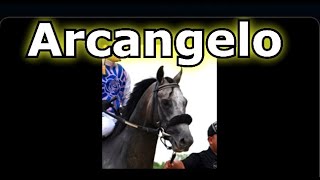 Arcangelo All Career Starts in 7 min Belmont Steaks Probable [upl. by Aneed270]