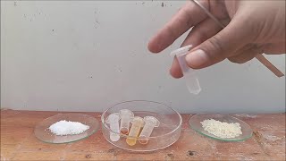 Adulteration test kit for wheat rice ghee chilli powder amp salt chemistry [upl. by Jarred880]