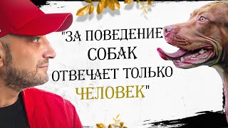 Антуан Наджарян quotЗа поведение собак отвечает только человекquot [upl. by Llenrahc]