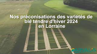 Blé tendre d’hiver  quelles variétés choisir pour les semis 2024 en Lorraine   ARVALISfr [upl. by Jordon]