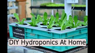 DIY Hydroponics At Home [upl. by Ellie758]