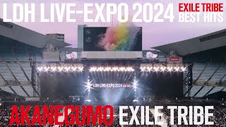 EXILE TRIBE  AKANEGUMO LDH LIVEEXPO 2024 EXILE BEST HITS [upl. by Kolva629]