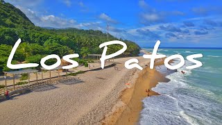 Los Patos Barahona 20 [upl. by Bowers285]