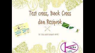 Uji silang Testcross backcross persilangan balik resiprok [upl. by Magnuson73]