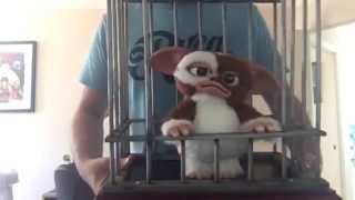 GIZMO MOGWAI [upl. by Geoffrey]