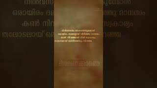 Palnilavin PoykayilKaanekkaane love malayalamsonglyrics malaylamsong song lovesong [upl. by Dewey]